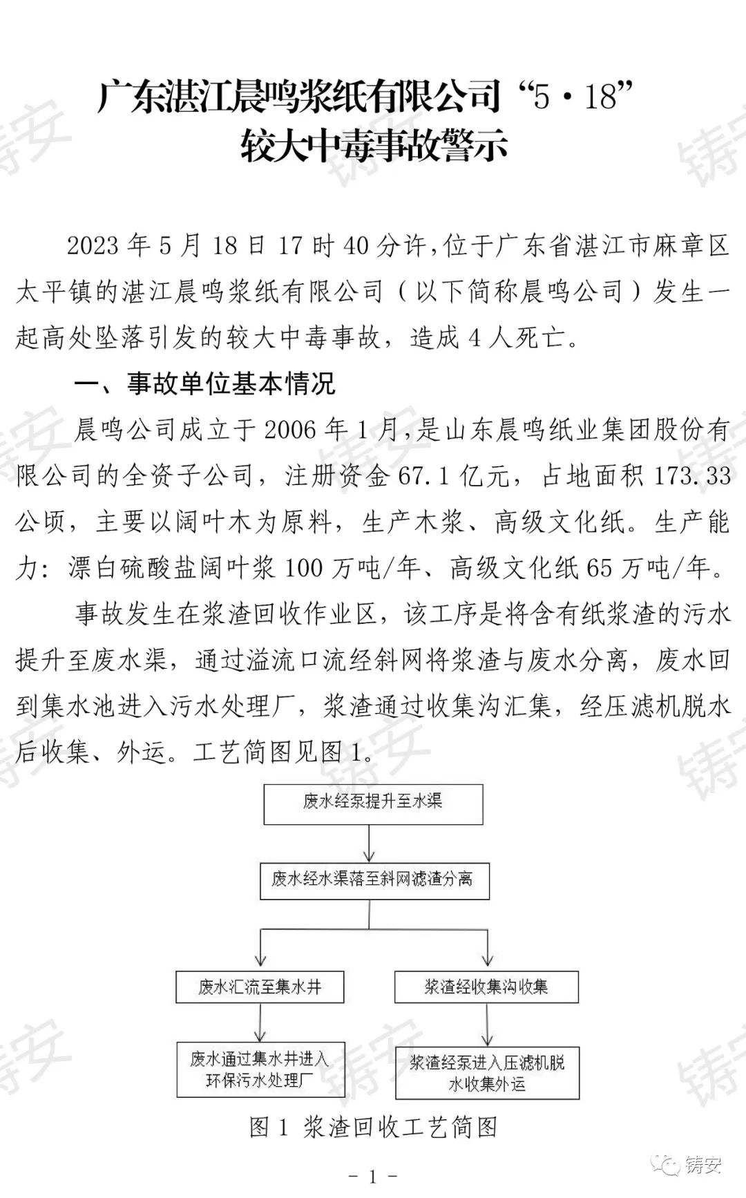 湛江晨鸣纸业最新动态全面解析