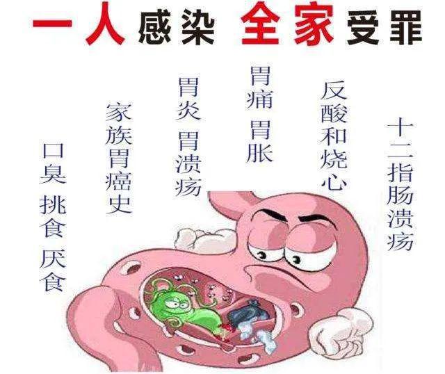 根除幽门螺旋杆菌，最新方案深度探讨