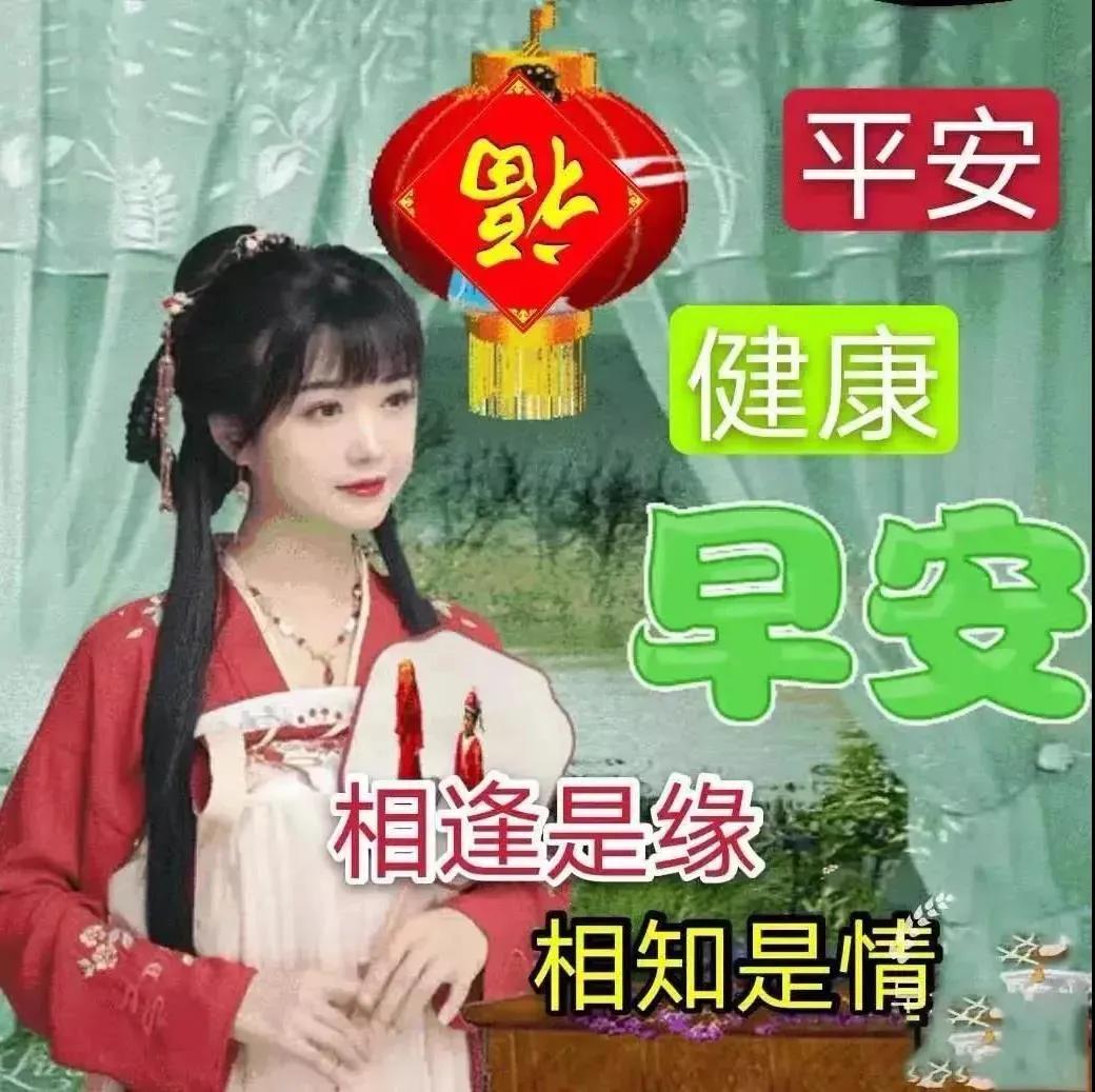 探索美味与创意的无限可能，最新馅饼盛宴