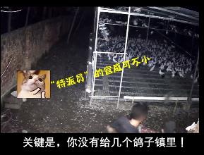 湖北汉川最新新闻，城市发展与民生改善同步前行