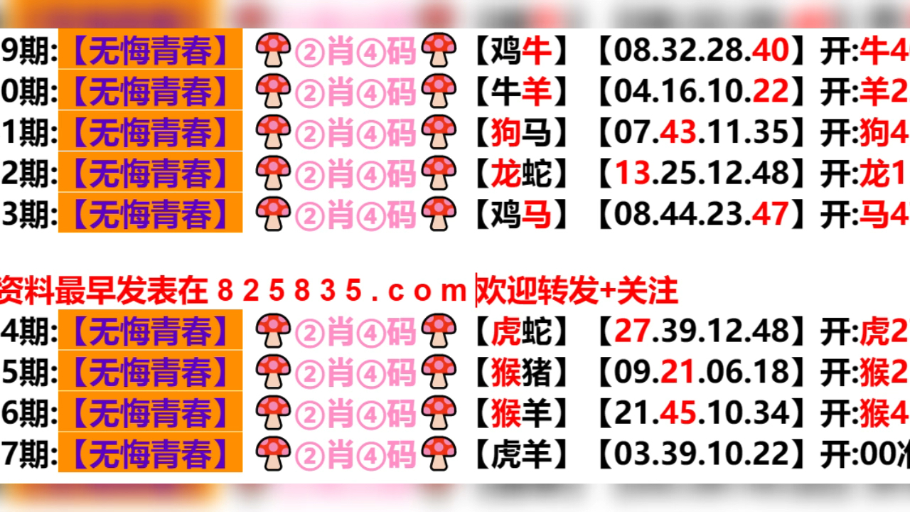 2024年新奥门天天开彩免费资料，构建解答解释落实_4oe01.15.56