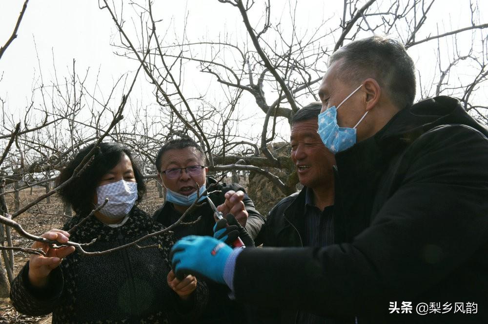 最新公路工程试验规程及其应用概览