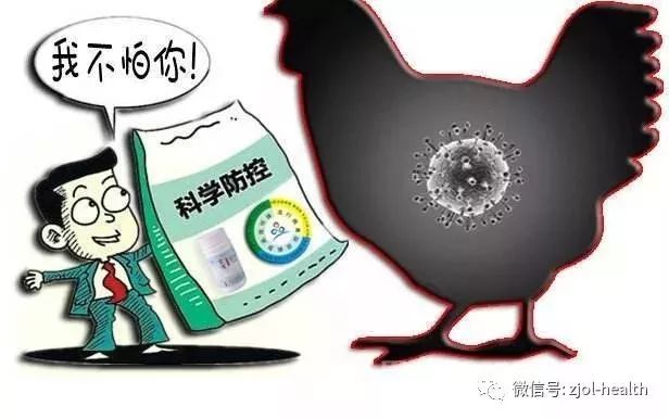 长春H7N9最新动态，全面防控，市民健康保障行动启动