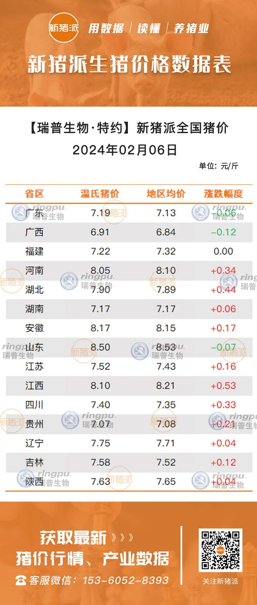 湖南最新猪价行情解析