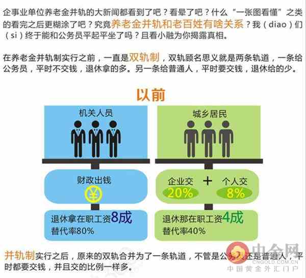 最新退休政策下的退休现象深度解析，聚焦2016年数据观察