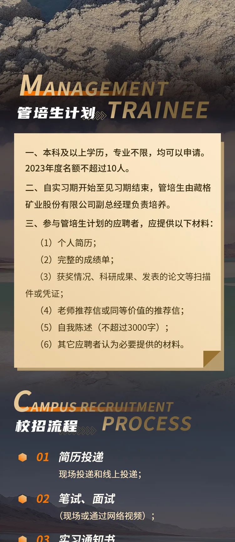 全球矿业发展探索之旅，最新海外选矿招聘与机遇挑战并存