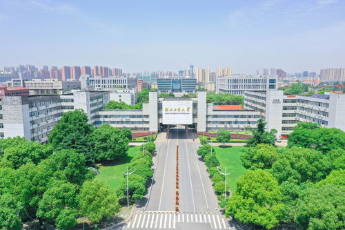 湖北工业大学专业深度解析与探讨