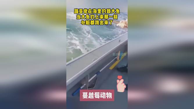 路亚钓法在海洋垂钓中的魅力与应用探讨