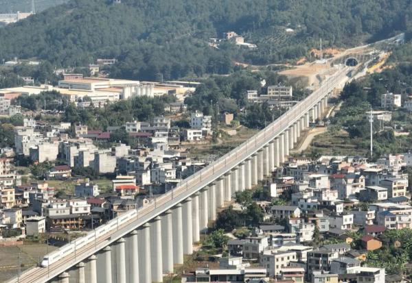 武平与广东深圳，跨越时空的联接纽带