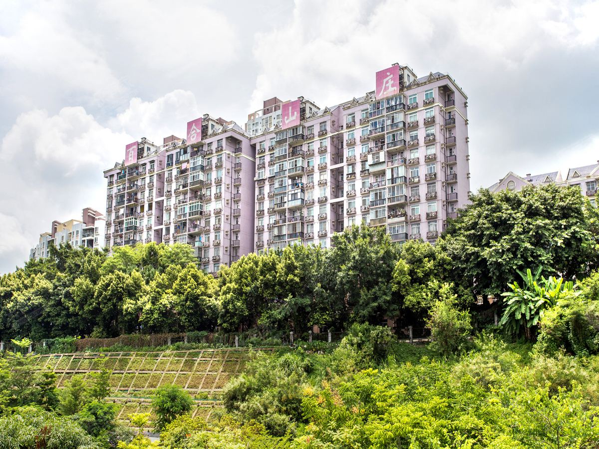 深圳市百合山庄，城市静谧绿洲