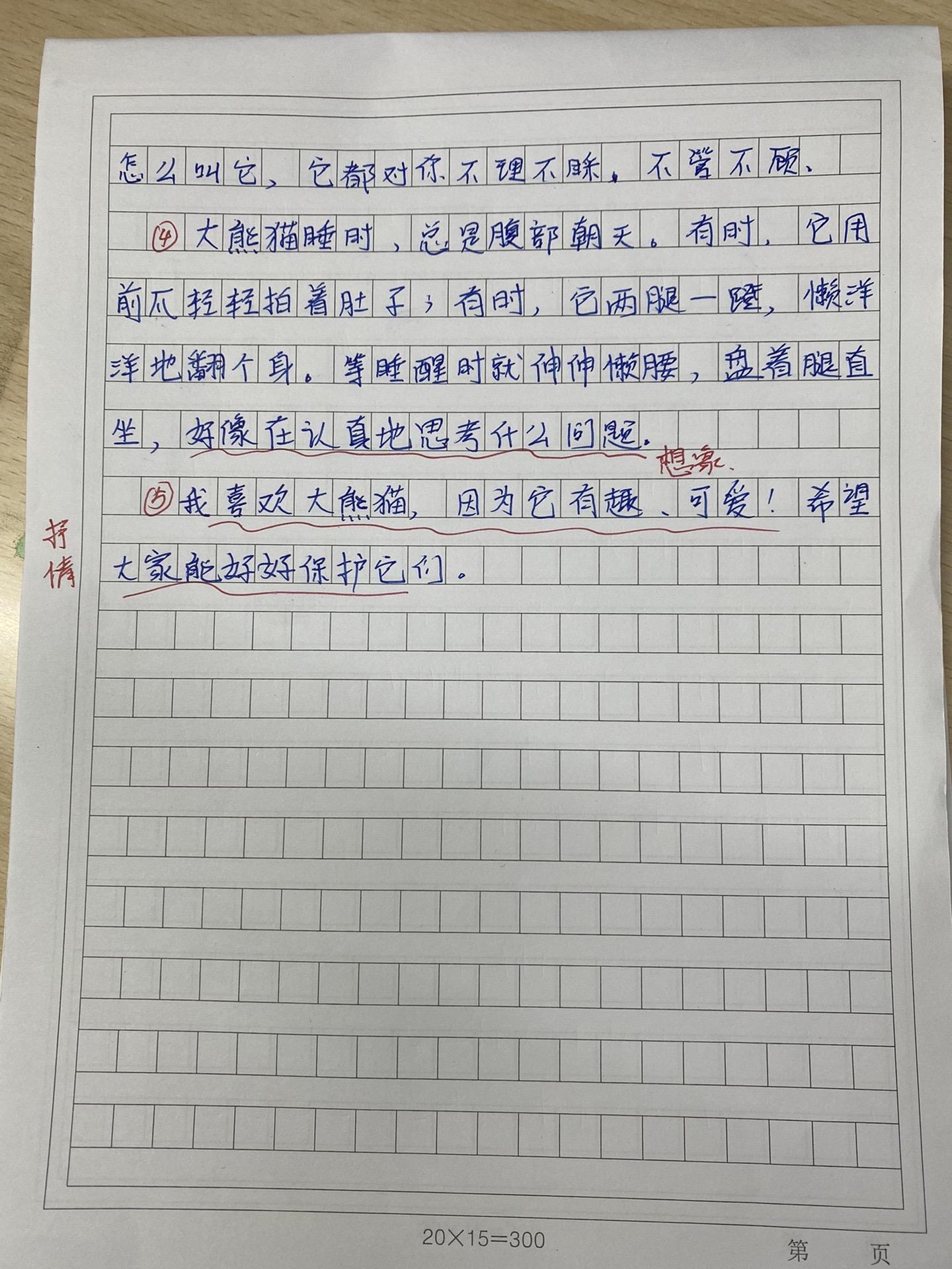 二年级语文作文，探索与发现的奇妙之旅