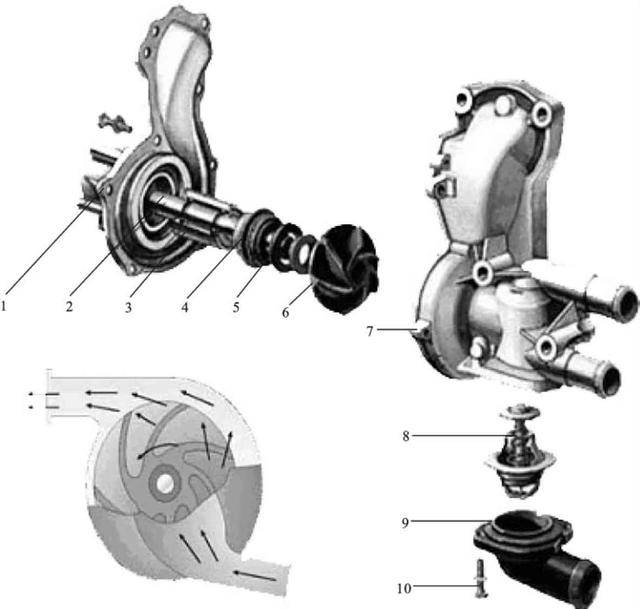深度解析发动机水泵结构图，构造与功能详解
