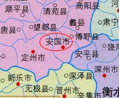 河北省安国市最新动态全面解读