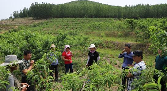 每日新闻速递，与时代生活节奏同步的信息更新